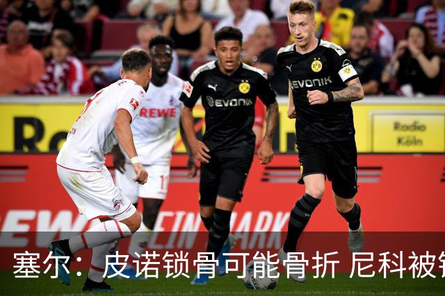 塞尔：皮诺锁骨可能骨折 尼科被铲伤可能提前结束世界杯之旅